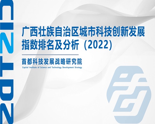 干女人的软件【成果发布】广西壮族自治区城市科技创新发展指数排名及分析（2022）